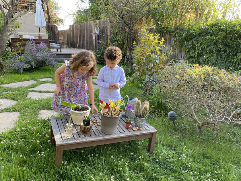 9 Fun Activities to Do with Kids During Earth Month