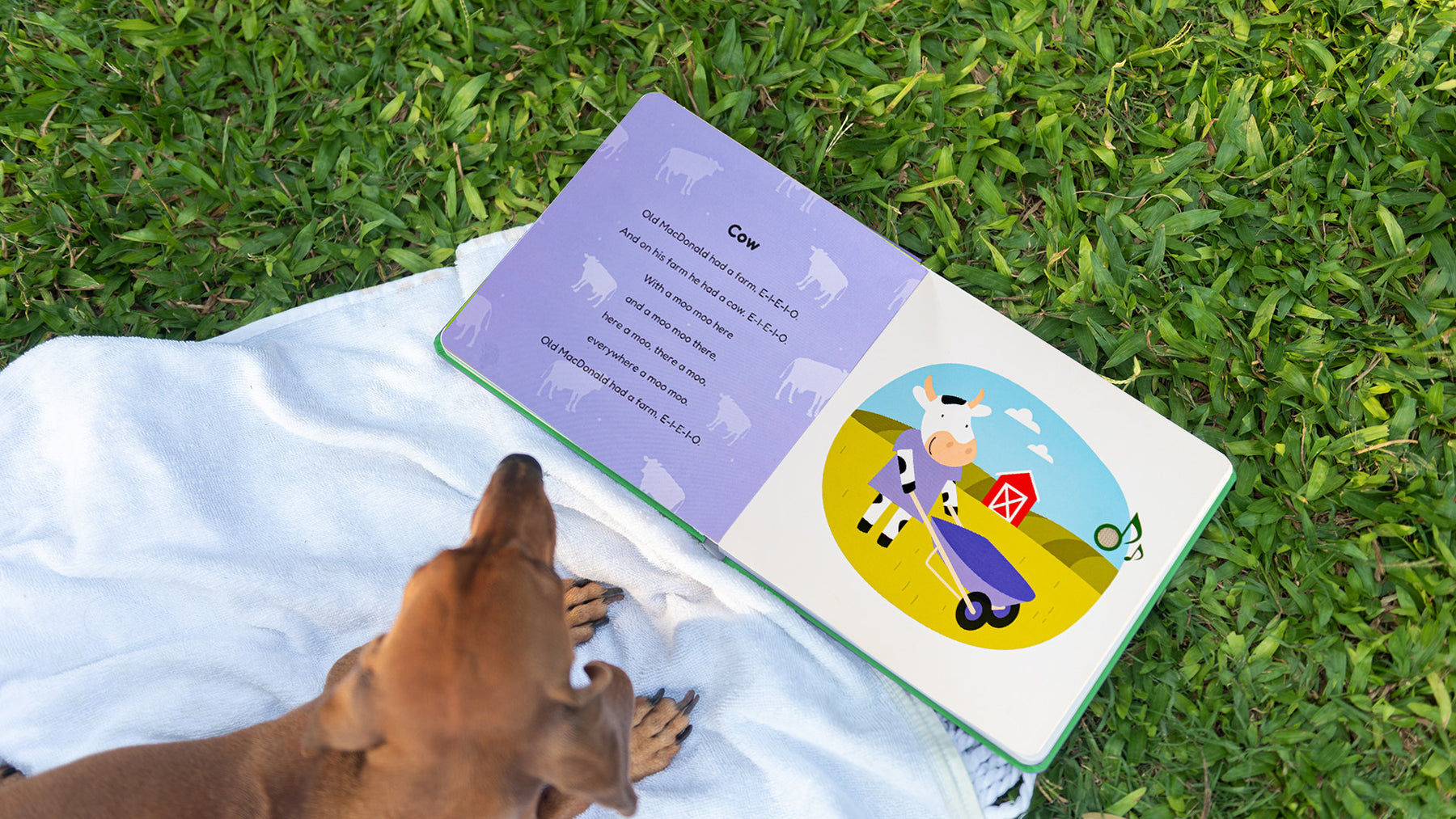 A dog is sitting next to a sound book laying on the grass. Musical books for kids, toddler musical activities, kids learning, toddler education.